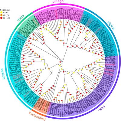 Antennal transcriptomic analysis of carboxylesterases and glutathione S-transferases associated with odorant degradation in the tea gray geometrid, Ectropis grisescens (Lepidoptera, Geometridae)